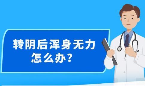 新澳精准资料免费提供网站有哪些,时代解答解释落实