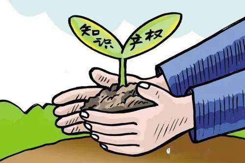 新澳2025今晚资料,注意警惕虚假宣传,公平管理执行